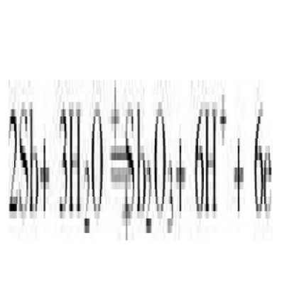 工業(yè)pH計(jì)銻電極應(yīng)用于油田污水的測(cè)量